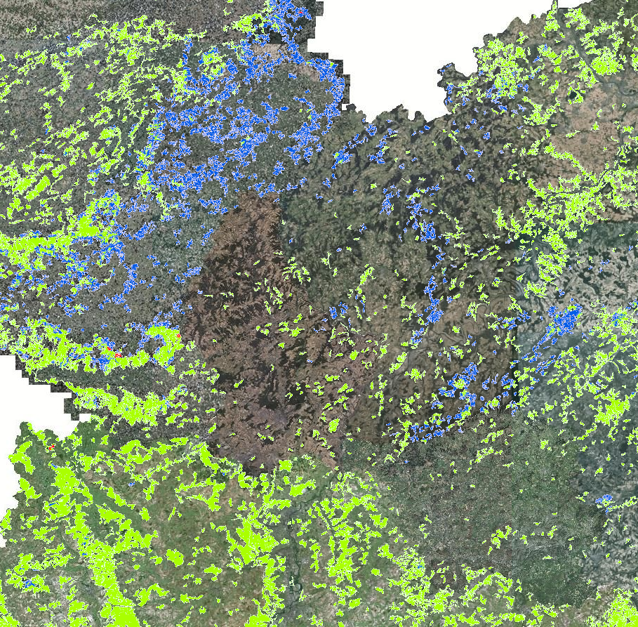 Waldtypen 2021 - Neues Fenster